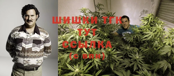 метамфетамин Инта