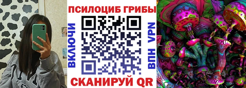 Купить закладки  Аргун  Псилоцибиновые грибы Cubensis 