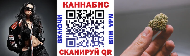 Конопля сатива Купить Аргун
